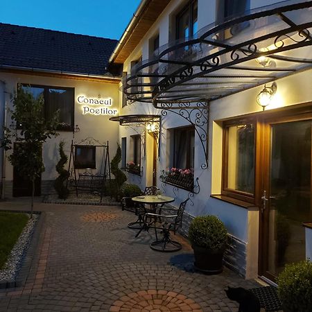 Gura Rîului Conacul Poetilor酒店 外观 照片