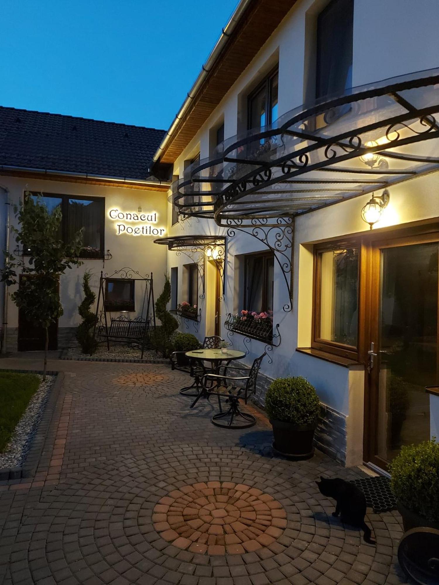 Gura Rîului Conacul Poetilor酒店 外观 照片